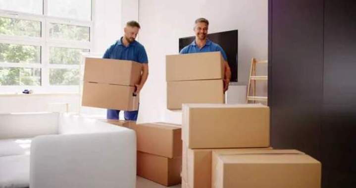 carton déménagement